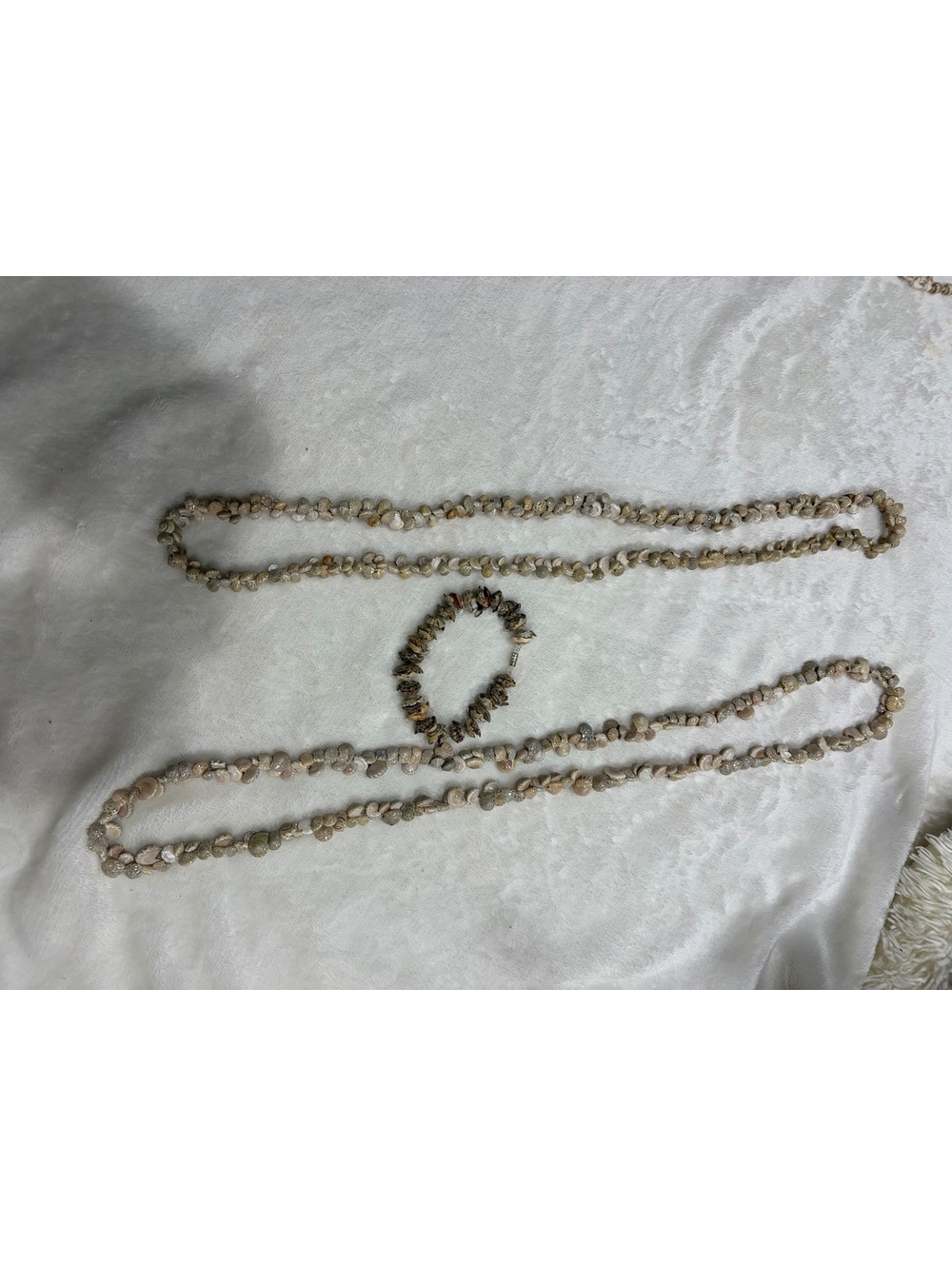 set of Seasnail shells two necklaces and a bracelet vintage beige / cream / gray